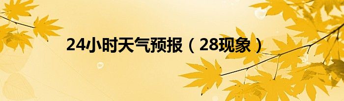 24小时天气预报（28现象）