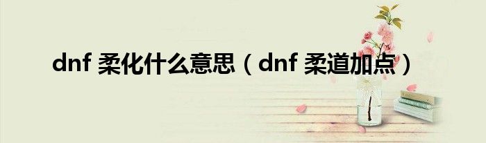 dnf 柔化是什么意思（dnf 柔道加点）