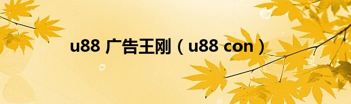 u88 广告王刚（u88 con）