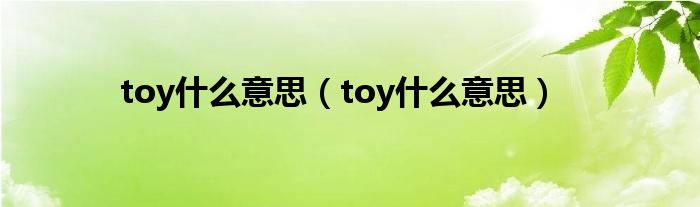 toy是什么意思（toy是什么意思）