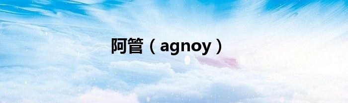 阿管（agnoy）