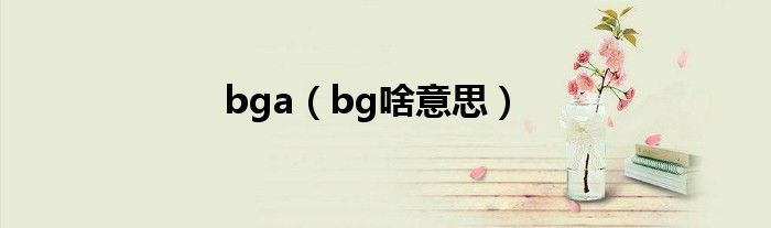 bga（bg啥意思）