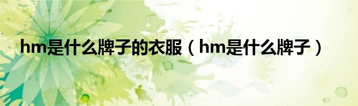 hm是是什么牌子的衣服（hm是是什么牌子）