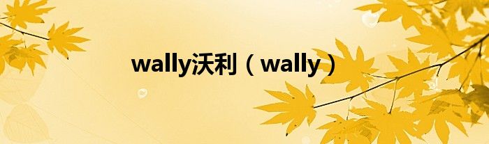 wally沃利（wally）