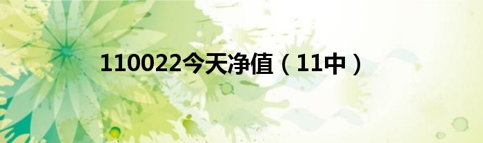 110022今天净值（11中）