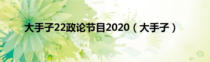 大手子22政论节目2020（大手子）