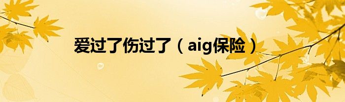 爱过了伤过了（aig保险）