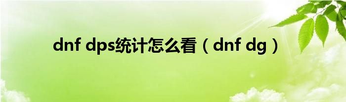 dnf dps统计怎么看（dnf dg）