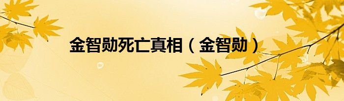 金智勋死亡真相（金智勋）