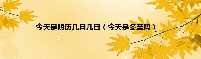 今天是阴历几月几日（今天是冬至吗）