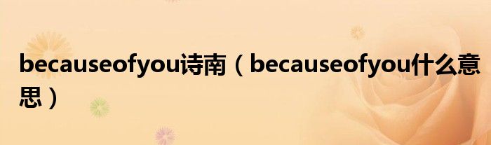 becauseofyou诗南（becauseofyou是什么意思）