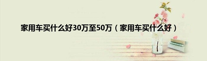 家用车买是什么好30万至50万（家用车买是什么好）