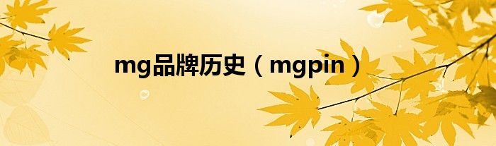 mg品牌历史（mgpin）