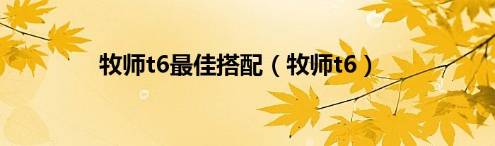 牧师t6最佳搭配（牧师t6）