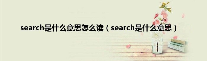 search是是什么意思怎么读（search是是什么意思）