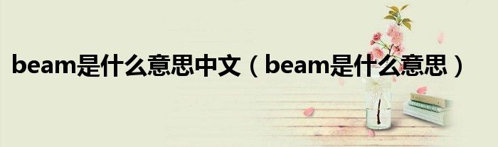 beam是是什么意思中文（beam是是什么意思）