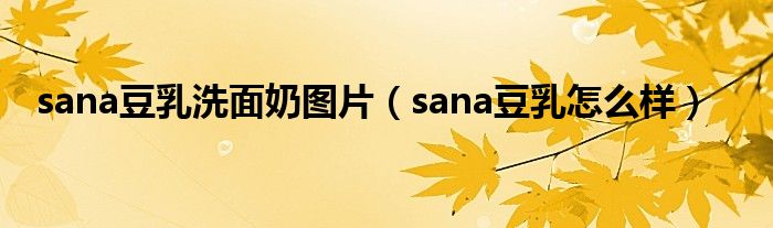 sana豆乳洗面奶图片（sana豆乳怎么样）