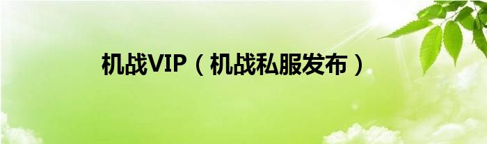 机战VIP（机战私服发布）