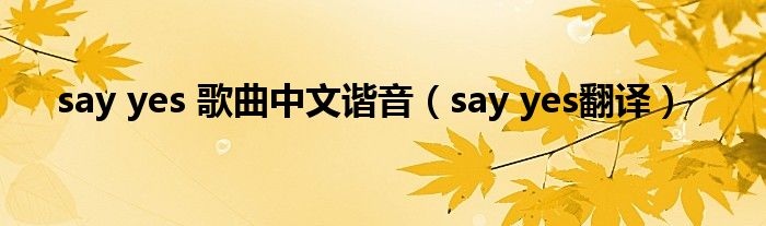 say yes 歌曲中文谐音（say yes翻译）