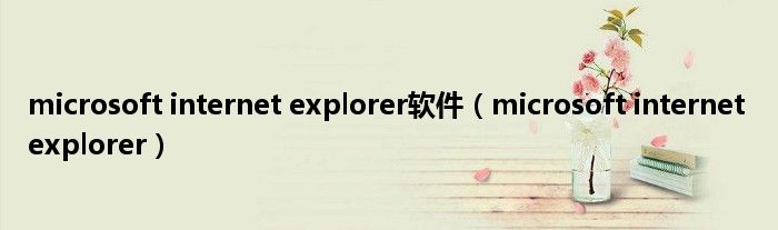 microsoft internet explorer软件（microsoft internet explorer）