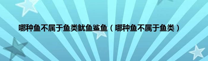 哪种鱼不属于鱼类鱿鱼鲨鱼（哪种鱼不属于鱼类）