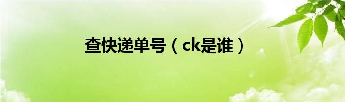 查快递单号（ck是谁）