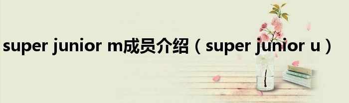 super junior m成员介绍（super junior u）