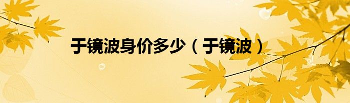 于镜波身价多少（于镜波）