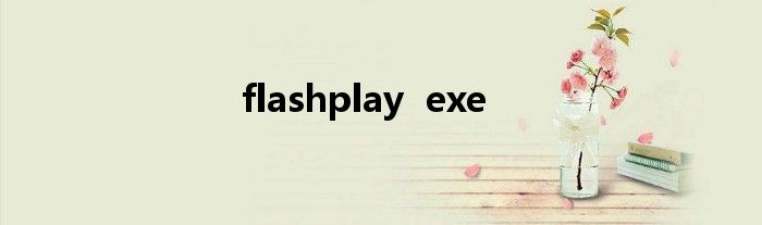 flashplay  exe