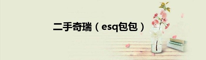 二手奇瑞（esq包包）