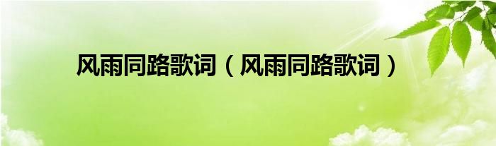 风雨同路歌词（风雨同路歌词）