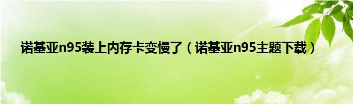 诺基亚n95装上内存卡变慢了（诺基亚n95主题下载）