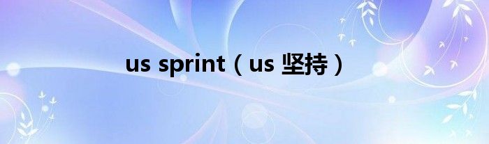 us sprint（us 坚持）