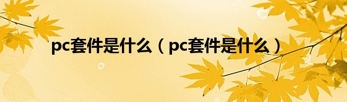 pc套件是是什么（pc套件是是什么）