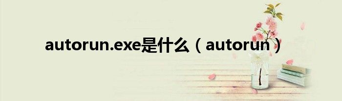 autorun.exe是是什么（autorun）