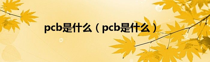 pcb是是什么（pcb是是什么）