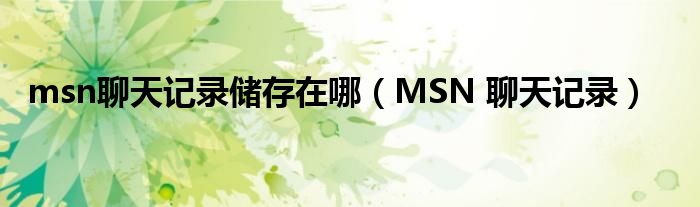 msn聊天记录储存在哪（MSN 聊天记录）