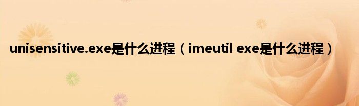 unisensitive.exe是是什么进程（imeutil exe是是什么进程）