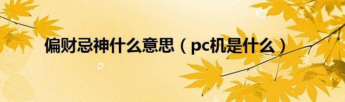 偏财忌神是什么意思（pc机是是什么）