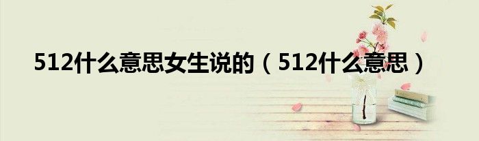 512是什么意思女生说的（512是什么意思）