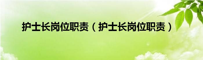 护士长岗位职责（护士长岗位职责）