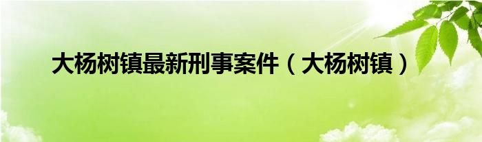 大杨树镇最新刑事案件（大杨树镇）