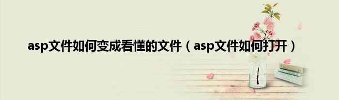 asp文件如何变成看懂的文件（asp文件如何打开）