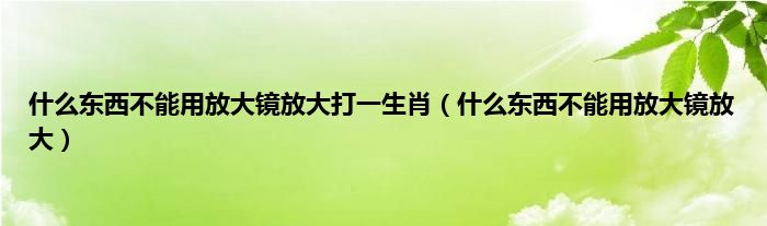 是什么东西不能用放大镜放大打一生肖（是什么东西不能用放大镜放大）