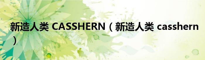 新造人类 CASSHERN（新造人类 casshern）