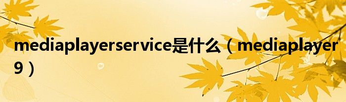 mediaplayerservice是是什么（mediaplayer9）