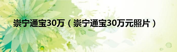 崇宁通宝30万（崇宁通宝30万元照片）