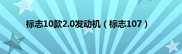 标志10款2.0发动机（标志107）