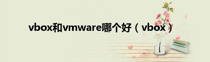 vbox和vmware哪个好（vbox）