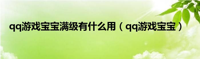 qq游戏宝宝满级有是什么用（qq游戏宝宝）